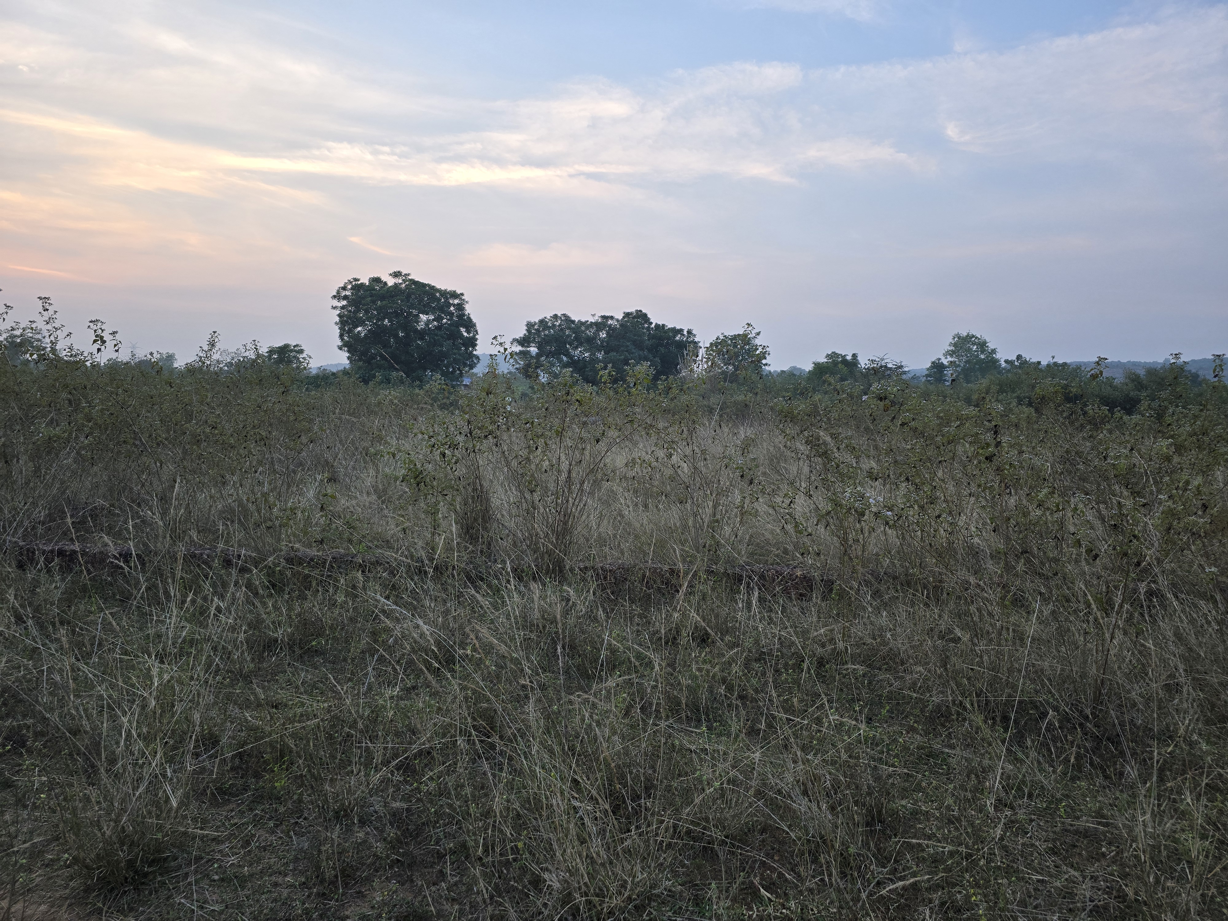 2400 sqft Land sale In Jagamara