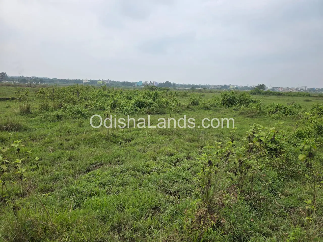 1300 sqft land for sale in Ghatikia near Manipal hospital.