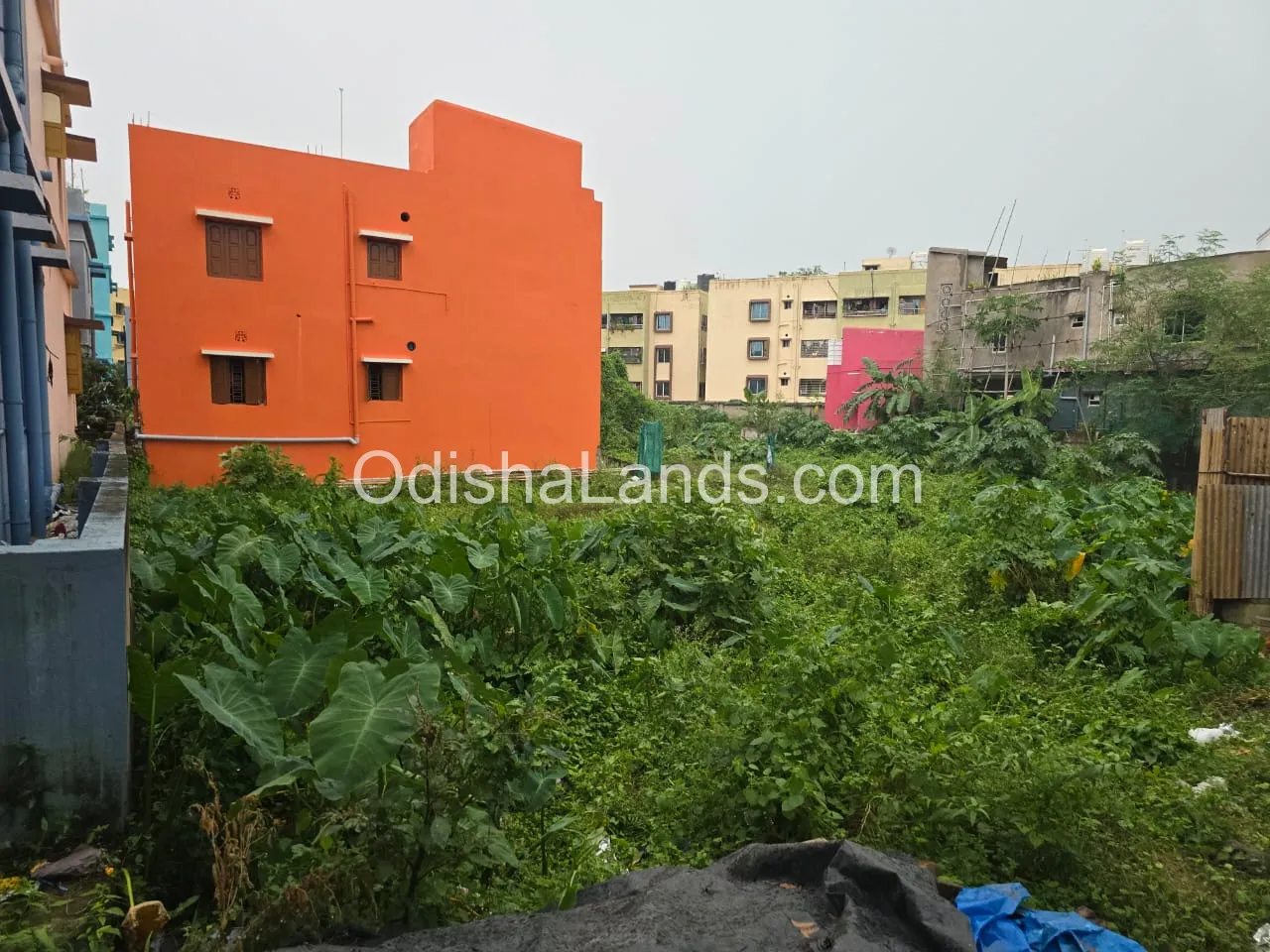2200 sqft land for in PAnchasakha Nagar.