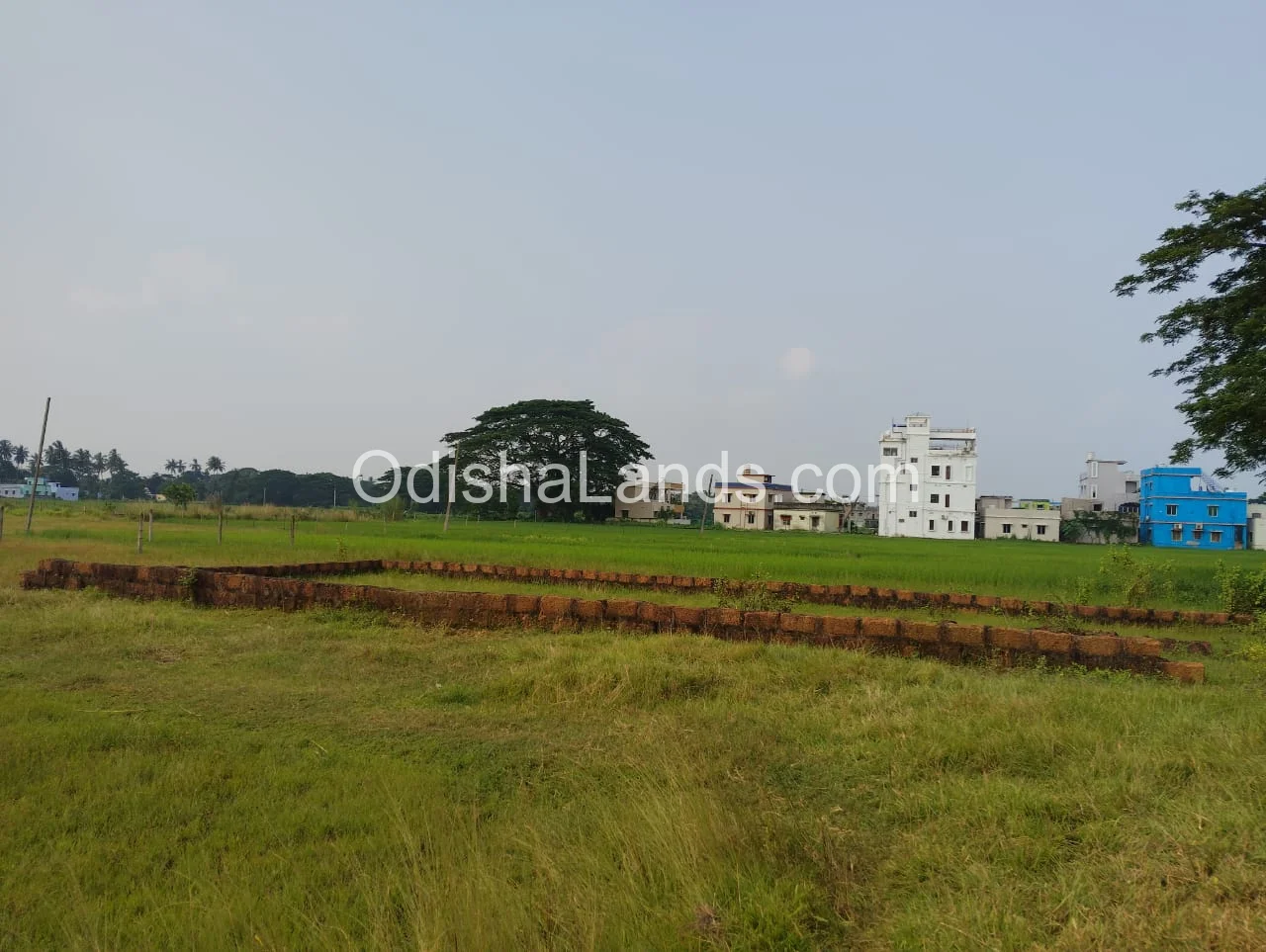 Gharabari 2700 sqfeet plot at Guali,Trinath Bazar,Bhubaneswar