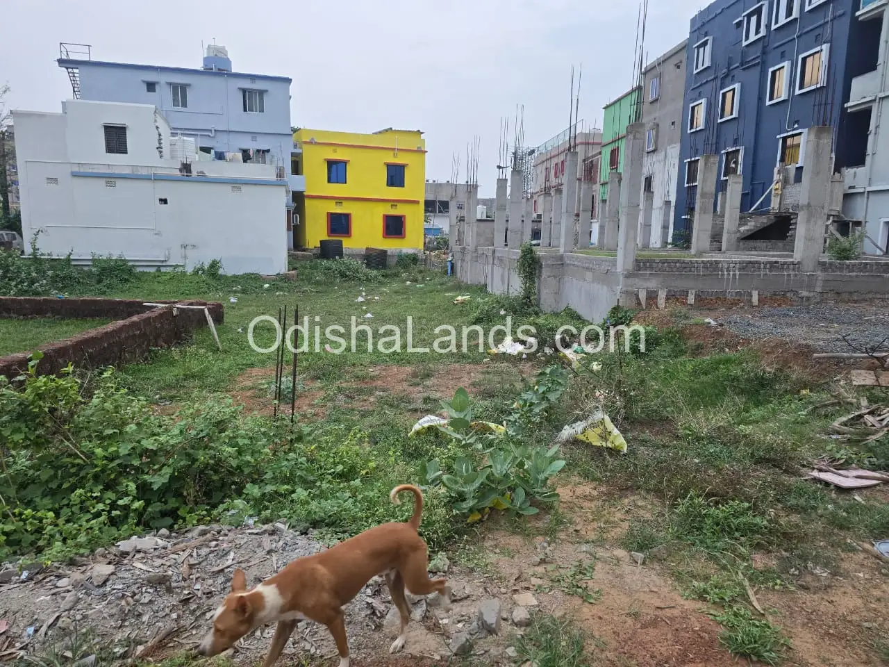 2000 sqft residential land sale in Jharapada, Mahadev Nagar.